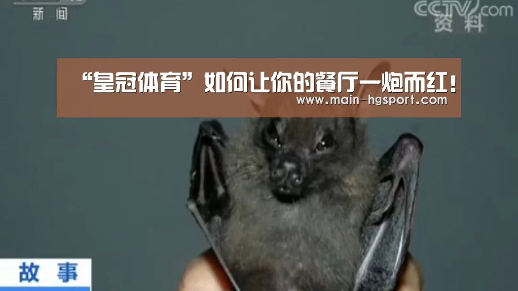 “皇冠体育”如何让你的餐厅一炮而红!(图1) 皇冠体育入口